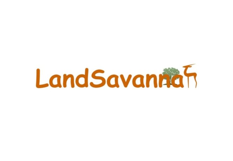 Land Savannah and Trekking