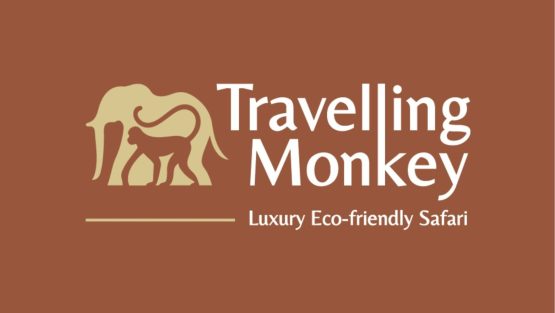 Travelling Monkey Safari