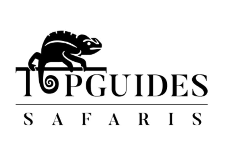 Topguides Africa Limited