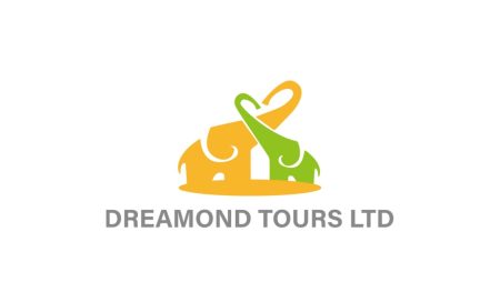 Dreamond Tours