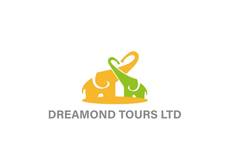 Dreamond Tours
