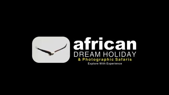 African Dream Holiday & Photographic Safaris