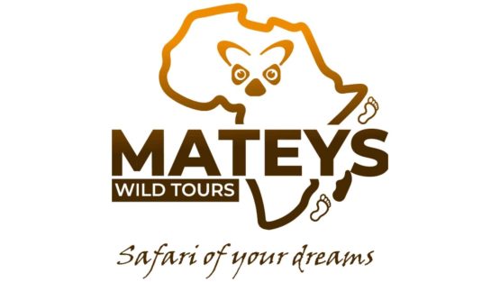 Mateys Wild Tours