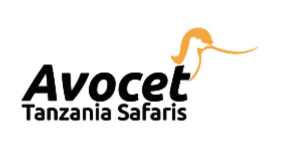 Avocet Tanzania Safaris Ltd